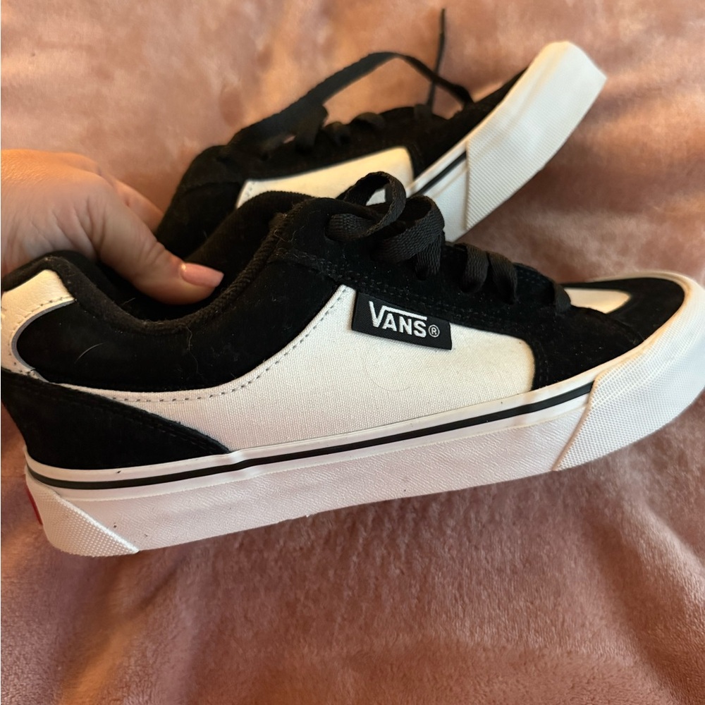 Vans Black and White Low-Top Skate Sneakers